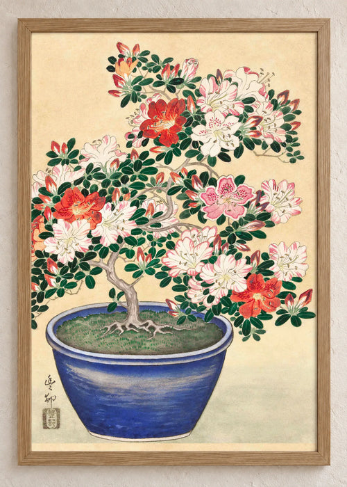 Azaleje i cvetne grane: set od 3 postera, Azalea Bonsai in a Blue Pot, u braon ramu
