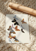 Leptiri, poster bez rama