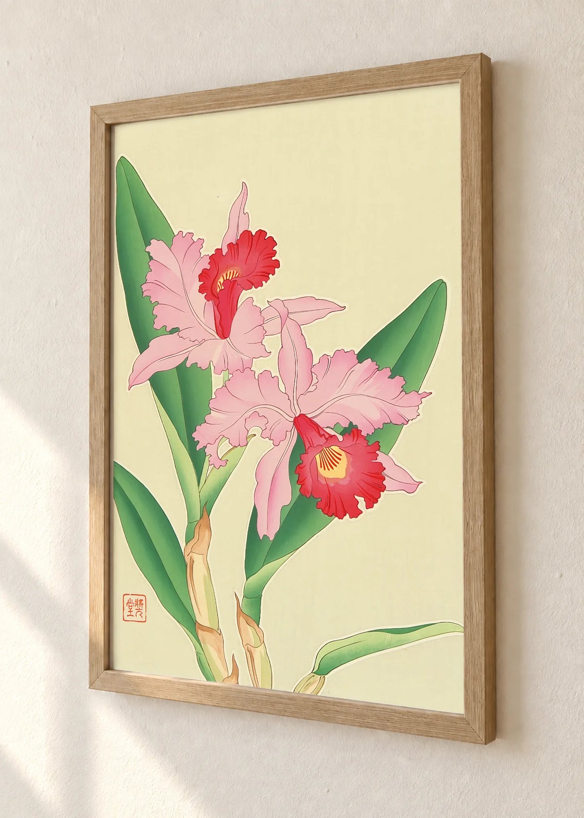 Roze orhideje, braon ram