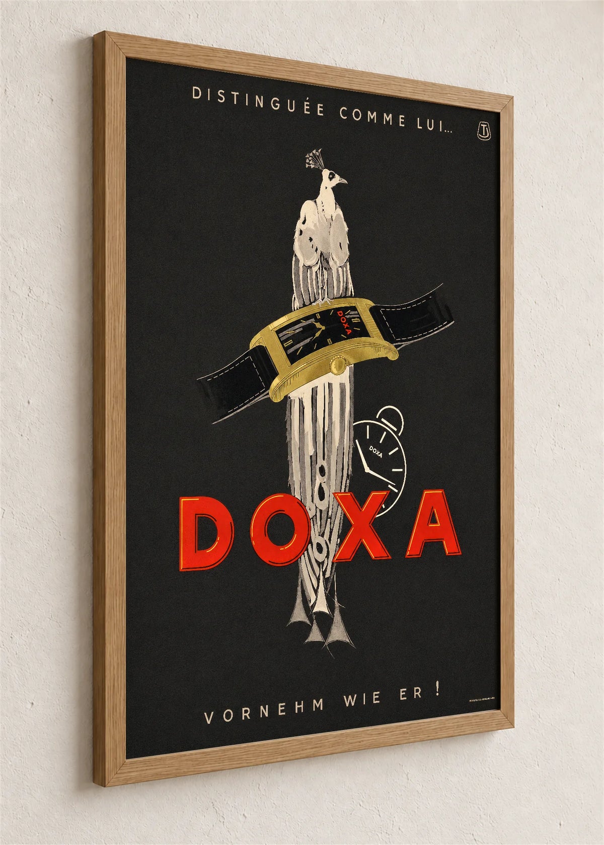 Doxa sa paunom, braon ram iz ugla