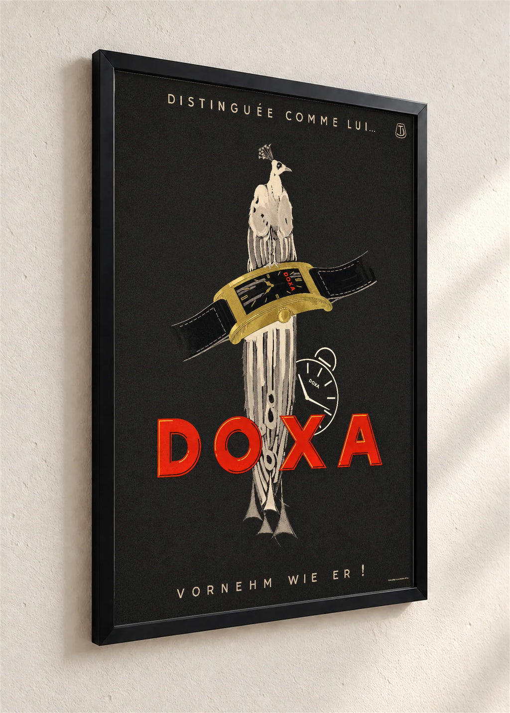 Doxa sa paunom, crni ram iz ugla
