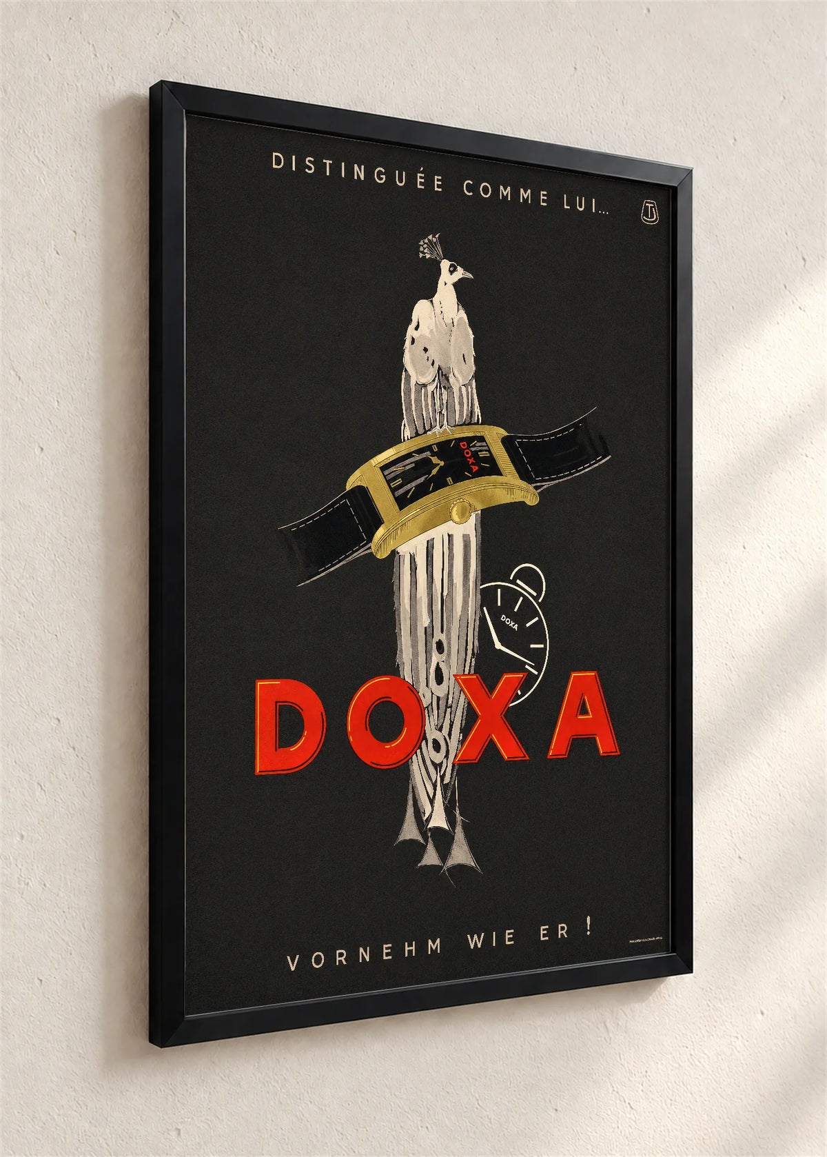 Doxa sa paunom, crni ram iz ugla
