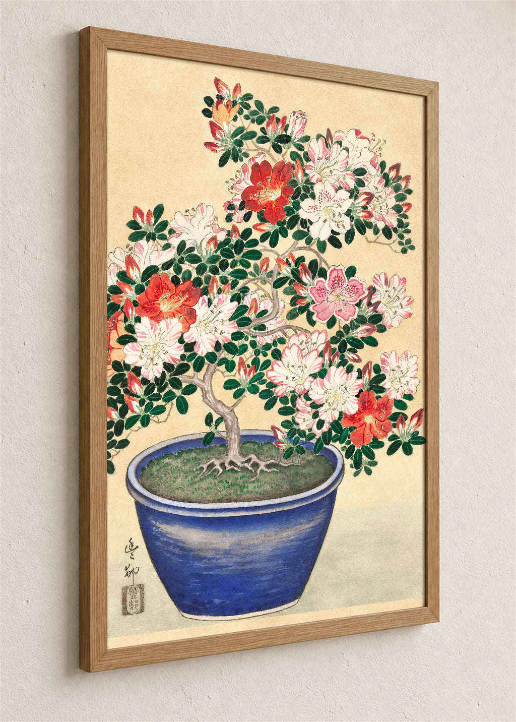 Bonsai azaleja u plavoj posudi, braon ram iz ugla