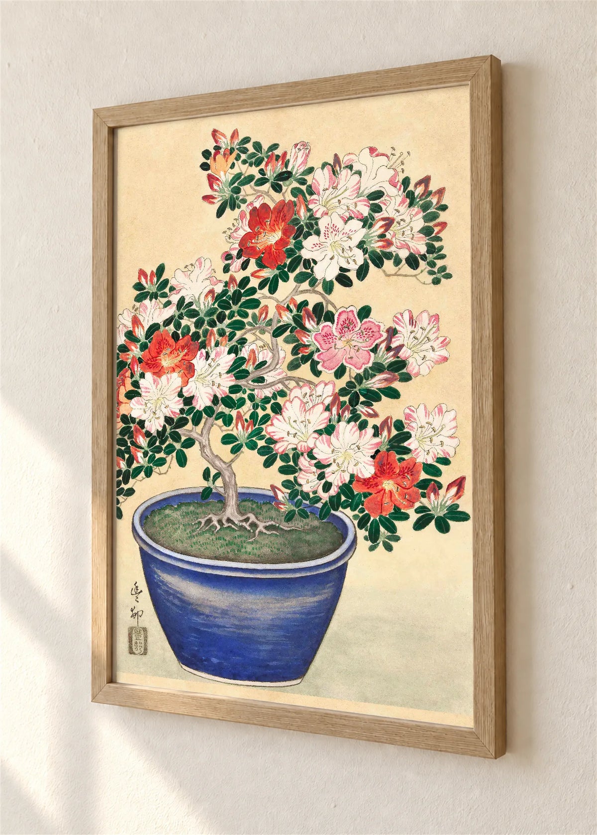 Bonsai azaleja u plavoj posudi, braon ram, detalj