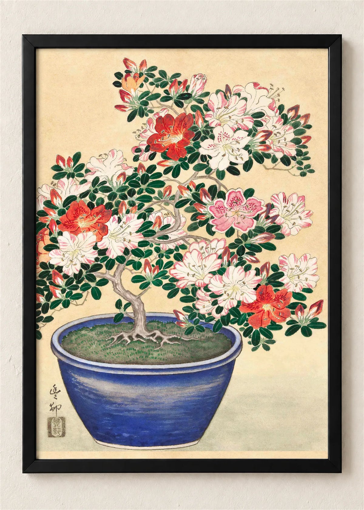 Bonsai azaleja u plavoj posudi, poster u crnom ramu
