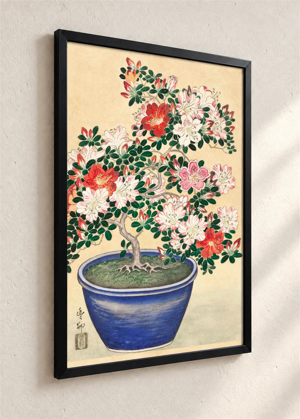 Bonsai azaleja u plavoj posudi, crni ram iz ugla