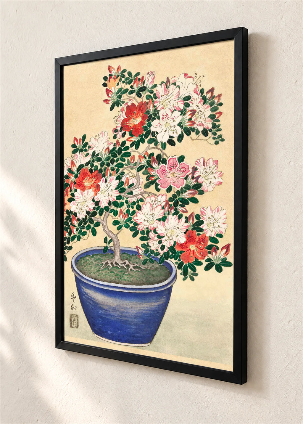 Bonsai azaleja u plavoj posudi, crni ram, detalj